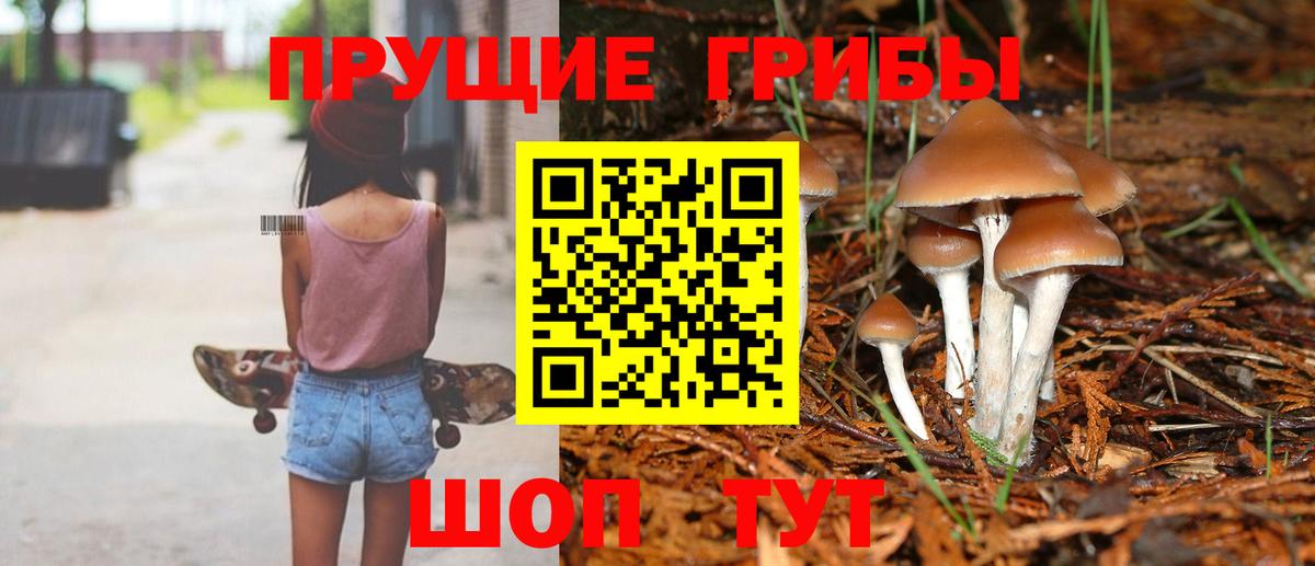 Псилоцибиновые грибы Cubensis Архангельск