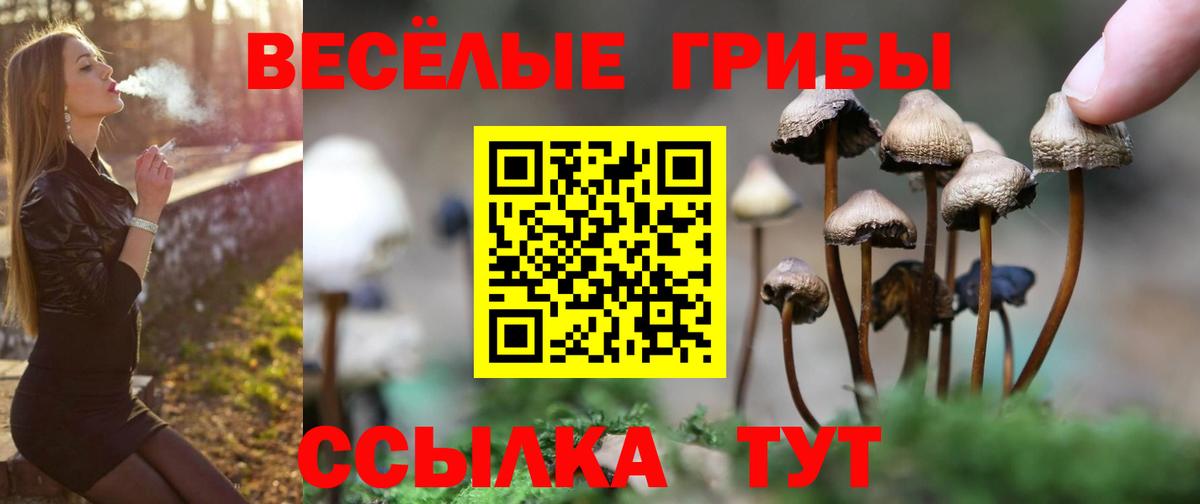 Архангельск  Галлюциногенные грибы прущие грибы  Вход с VPN 